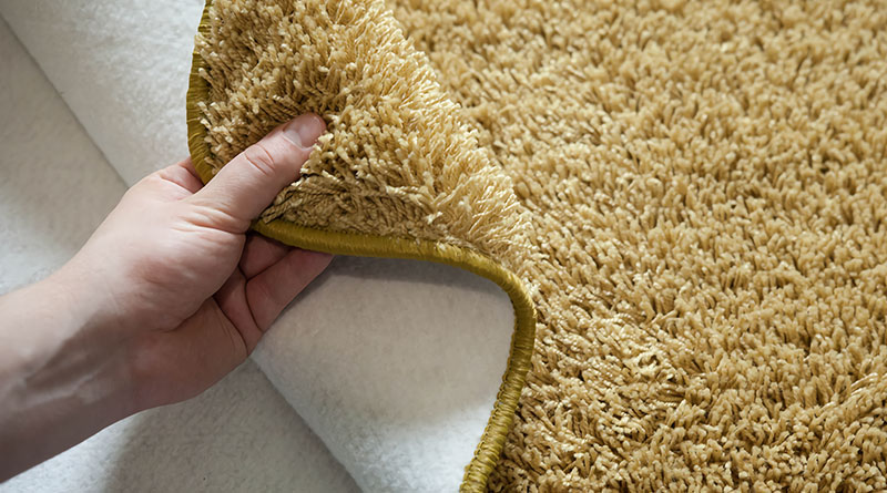 ELAZIĞ Deniz Halı Yıkama